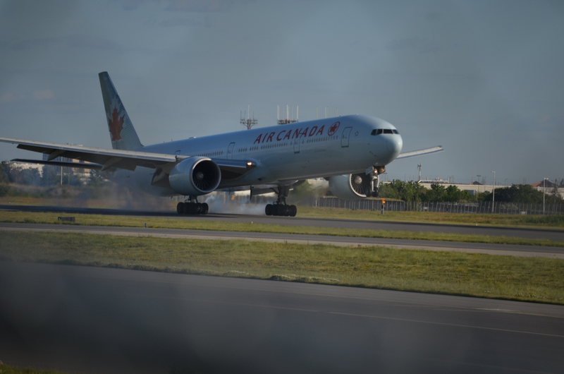 Even though the fence is in the way and part of a wing is cut off, I love this shot.